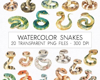 May include: A set of 20 watercolor snake illustrations. The snakes are in various poses and colors, including green, blue, yellow, orange, and brown. The illustrations are high-resolution and perfect for digital projects.
