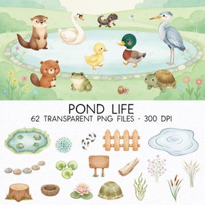 Pode incluir: Ilustração em aquarela da vida no lago com vários animais, incluindo um cisne, um pato, uma tartaruga e um sapo. A imagem também inclui elementos do lago, como nenúfares, uma cerca de madeira e um gráfico do lago. O texto diz "POND LIFE" e "62 TRANSPARENT PNG FILES - 300 DPI".