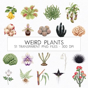 Weird Plants Watercolor Clipart Bundle / Commercial Use