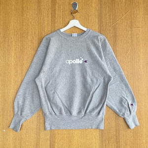 Vintage Champion Reverse Weave Sweatshirt Embroidered Small Logo Spellout Jumper Pullover