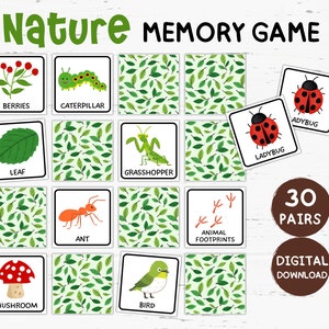 Afdrukbaar natuurgeheugenspel, matching game, natuurflashcards, natuuractiviteitenspellen, natuurthemaklas, natuur verjaardagsfeestje gunst