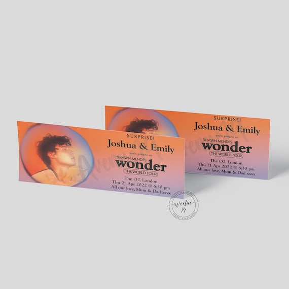 Shawn Mendes concert experience in 2025