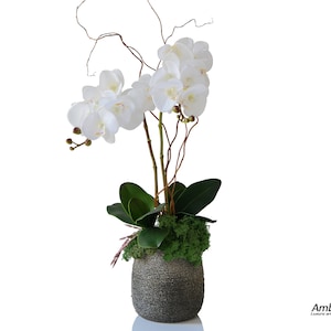 Real touch orchids in beaded pot. Artificial orchid centerpiece.