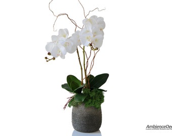 May include: A white orchid arrangement in a textured gray pot. The artificial flowers have multiple blooms and green leaves. The pot is filled with green moss and small twigs. The logo "AmbianceDecoIM" is in the bottom right corner.