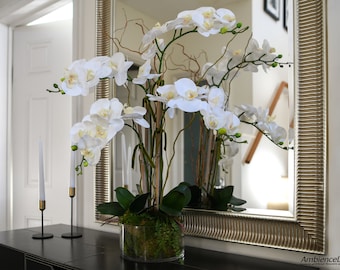 May include: A white orchid arrangement in a clear glass vase with green moss. The vase is sitting on a black table in front of a mirror with a gold frame.