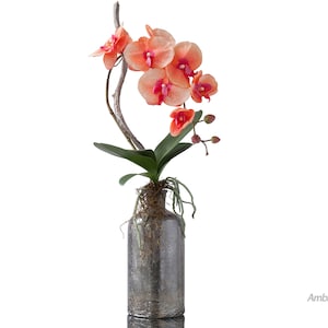 Luxury Orange Phalaenopsis Orchid Arrangement in Bottle Vase