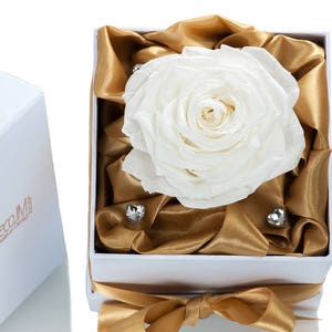 Infinity rose,  infinity rose for Mother's Day,  forever rose, infinity white rose in a box Mother's Day Gift