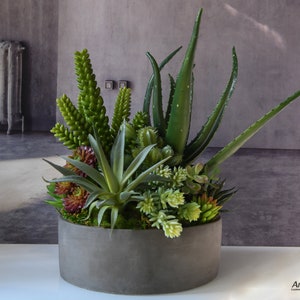 Artificial succulent arrangement.