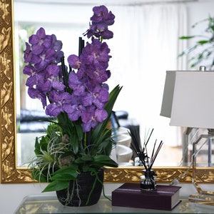 Könnte beinhalten: Eine violette Orchideen-Arrangement in einer schwarzen Vase steht auf einem Glastisch neben einer Kristalllampe mit einem weißen Lampenschirm und einem Buch.