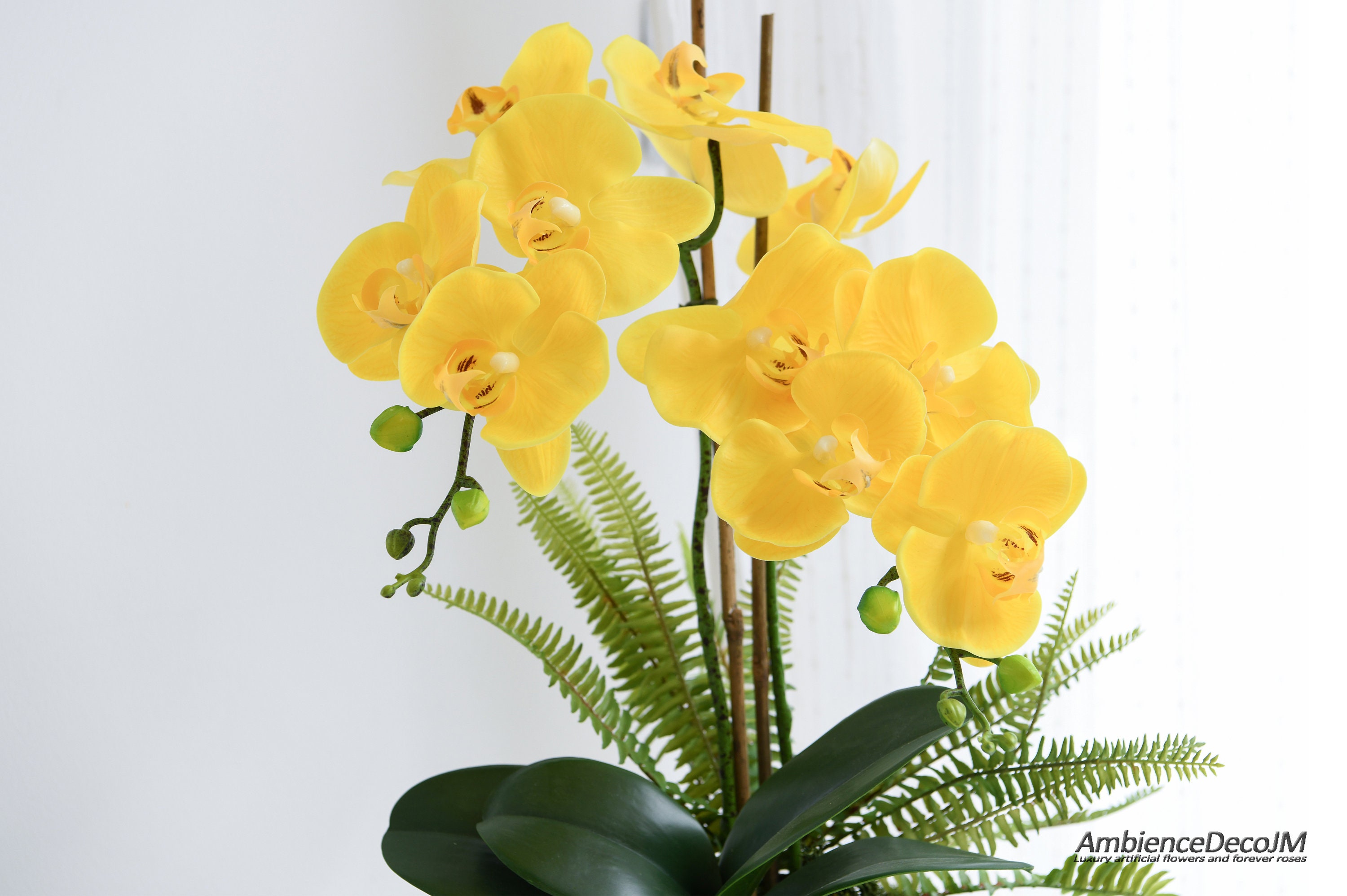 Pianta di orchidea artificiale bianca di lusso in vaso cubo nero. Orchidee  realistiche di lusso, orchidee phalaenopsis di alta qualità, -  Italia