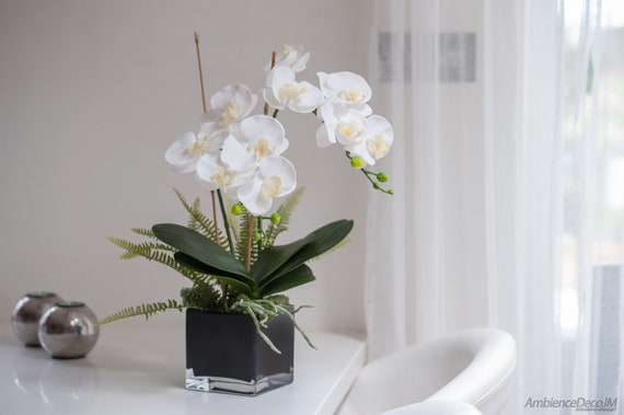 Pianta di orchidea artificiale bianca di lusso in vaso cubo nero. Orchidee  realistiche di lusso, orchidee phalaenopsis di alta qualità, -  Italia