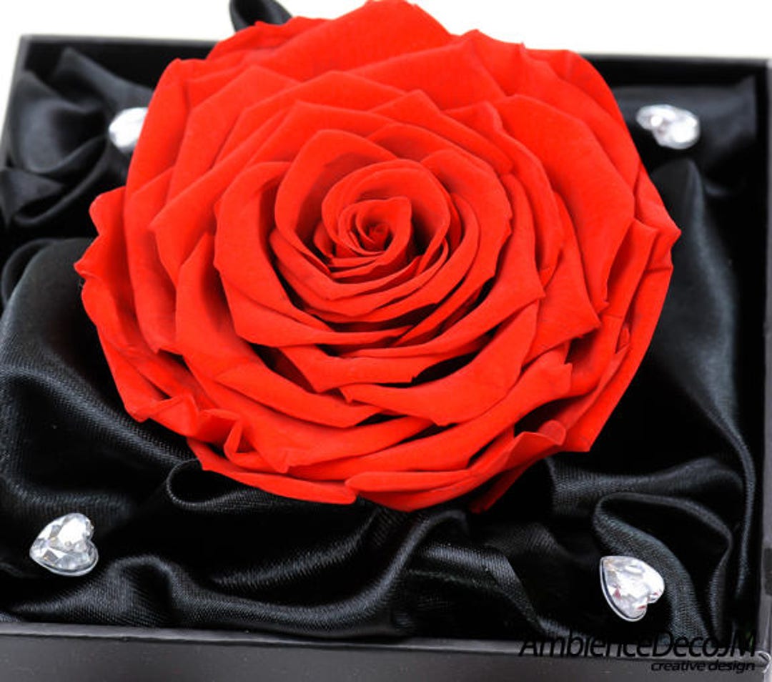 Scatola nera a forma di cuore con rose rosse