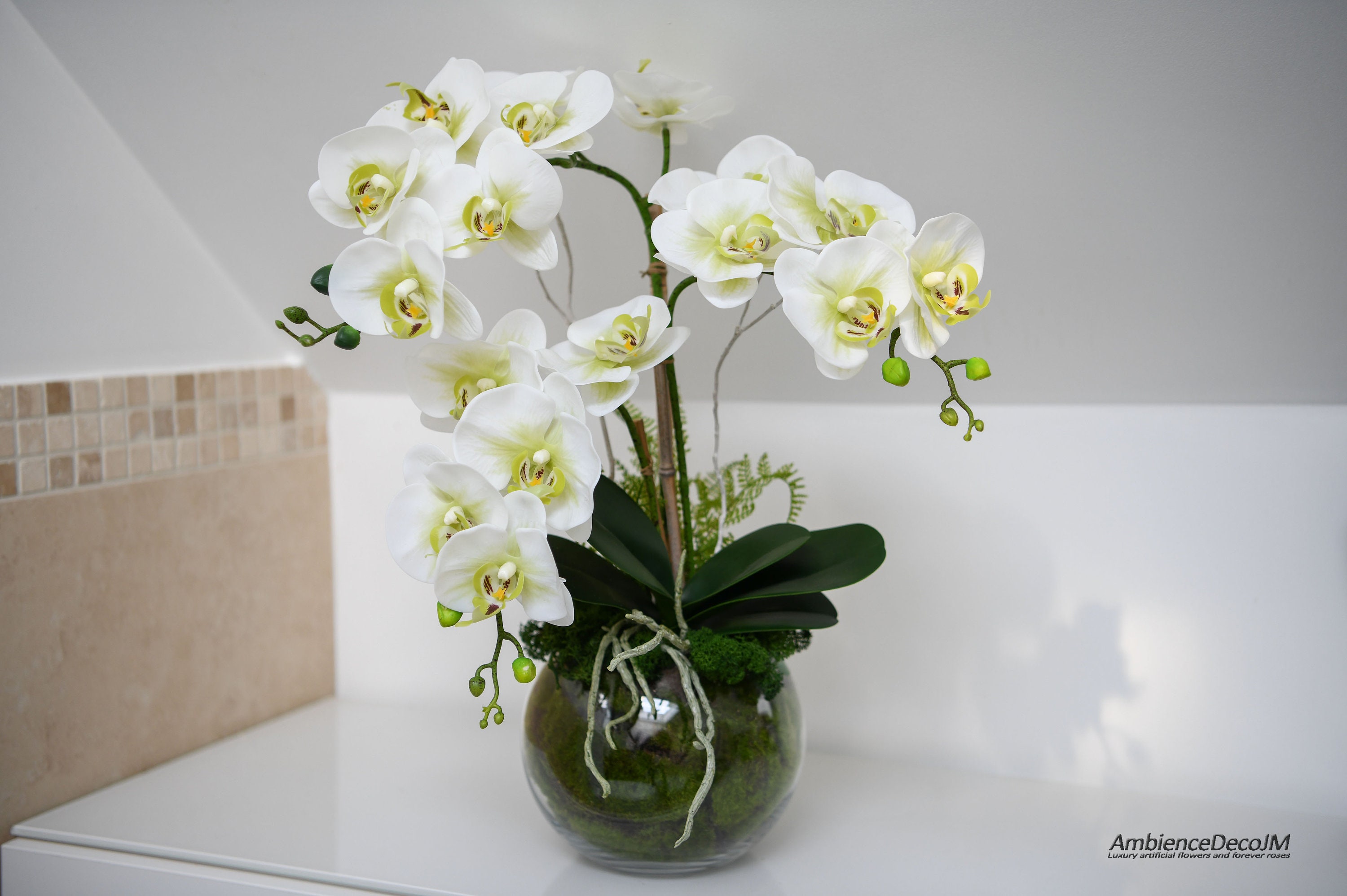 Orchidee in vaso di vetro: la giusta terra, contenitore e come annaffiarle  – Innovazione Eco Sostenibile Ambientale