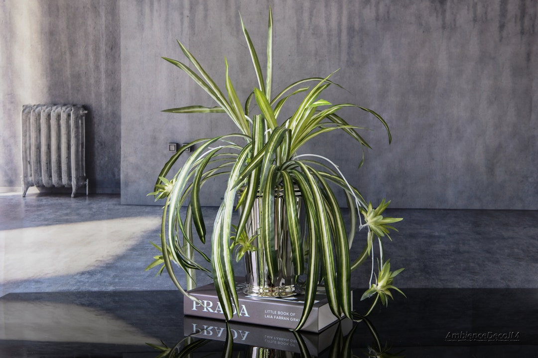 Pianta ragno artificiale in vaso argentato: decorazioni per la casa ...