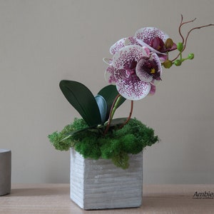 Artificial orchid in concrete pot. Faux small orchid plant