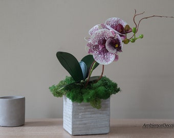 Artificial orchid in concrete pot. Faux small orchid plant
