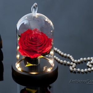 Enchanted Red Rose in Glass Dome with Lights - Beauty and the Beast Inspired