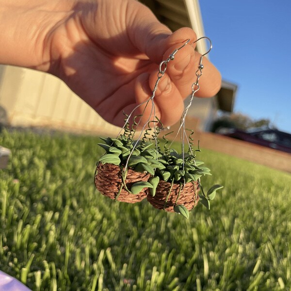 Hanging Plant Etsy