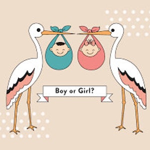 SAME DAY Gender Prediction