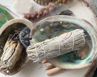 Abalone Shell, Seashell Incense Burner, Smudge Bowl for Holding Smudge Sticks, Incense, Crafts, Display