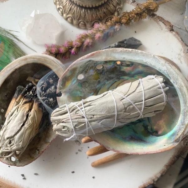 Abalone Shell, Seashell Incense Burner, Smudge Bowl for Holding Smudge Sticks, Incense, Crafts, Display