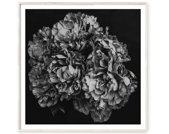 Flower Wall Art, Peony Print, Black and White Flower Photography Prints, Large Wall Art Prints, Peony Wall Art