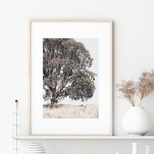 May include: A framed photograph of a lone tree in a field of tall grass. The tree has a thick trunk and branches with a light brown color. The grass is a light brown color and the background is a light gray color.