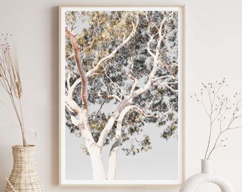 Tree Art, Tree Photography Prints, Extra Large Wall Art Prints, Neutral Prints, Nature Art, Eucalyptus Tree Poster, 40x60 Prints