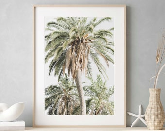 Palm Tree Print, Coastal Wall Art, Palm Photography Prints, Extra Large Wall Art Prints, 30x40 | 30x45 | 40x60 Palm Prints, Fine Art Print