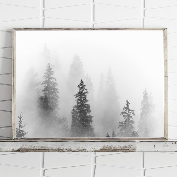 Forest Wall Art, Large Wall Art Prints, Black and White Photography Prints, Downloadable Prints, Landscape Printable Wall Art, Nature Art