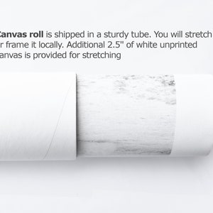 May include: A white canvas roll is rolled up inside a sturdy tube. The canvas has a textured surface and is ready to be stretched or framed. The text on the image reads: "Canvas roll is shipped in a sturdy tube. You will stretch or frame it locally. Additional 2.5" of white unprinted canvas is provided for stretching"
