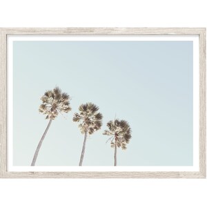 Palm Tree Print, Coastal Wall Art, Palm Photography Prints, Extra Large Wall Art Prints, Palm Prints, Minimalist Wall Art, Fine Art Print