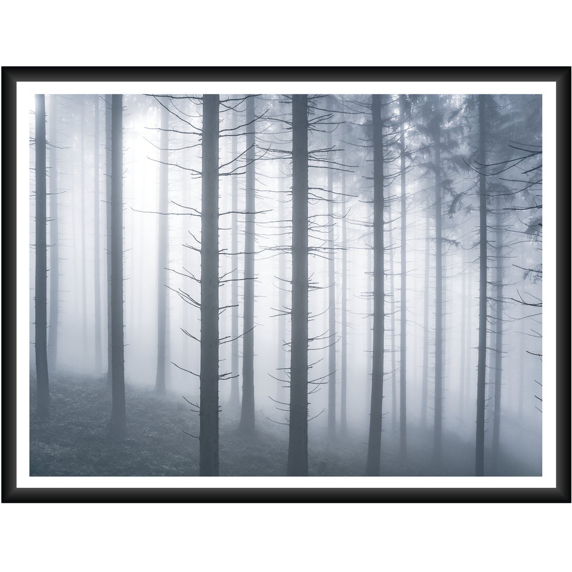Forest Wall Art Large Wall Art Prints Landscape Wall Art Etsy