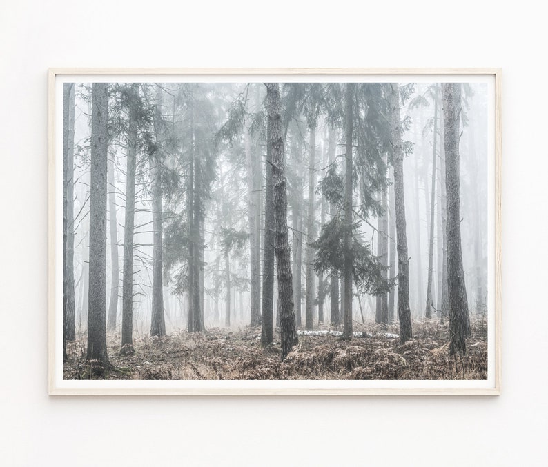 Forest Wall Art Extra Large Wall Art Prints Landscape Wall Etsy