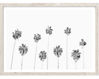 Palm Tree Print, Black and White Photography Prints, Extra Large Wall Art Prints, Palm Print, California Palms Print, Minimalist Wall Art