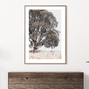 May include: A framed photograph of a lone tree with brown branches and leaves against a white background. The tree is in a field of tall grass.