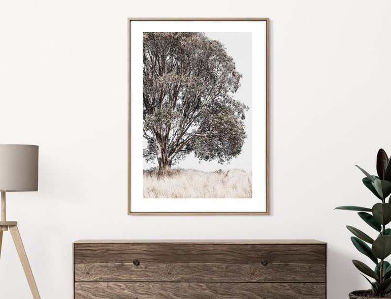 May include: A framed photograph of a lone tree with brown branches and leaves against a white background. The tree is in a field of tall grass.