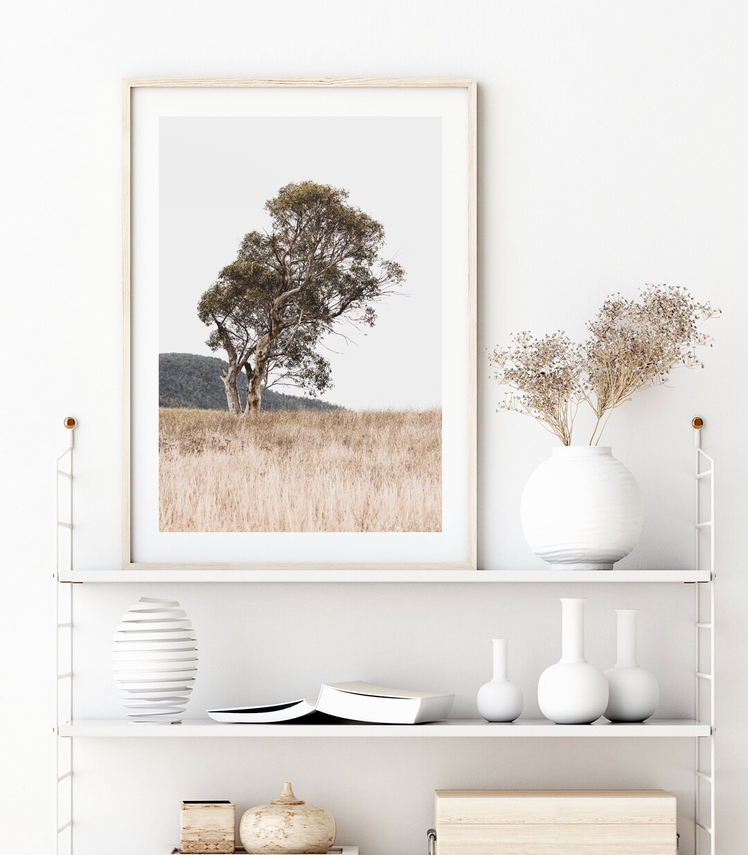 Nature Wall Art, Tree Photography Prints, Extra Large Wall Art Prints
