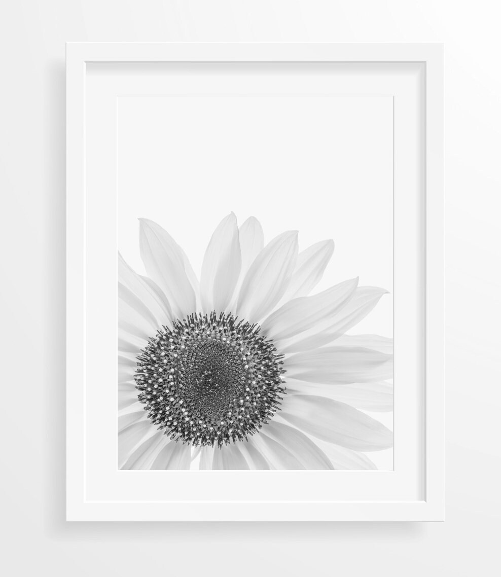 Flower Wall Art Large Wall Art Prints Flower Photography Etsy