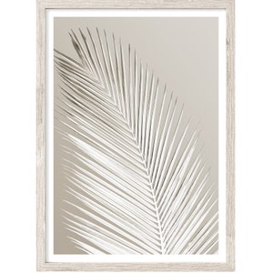 Palm Tree Print, Extra Large Wall Art Prints, Coastal Prints, Neutral Wall Art, Botanical Decor, Palm Leaf Print, Fine Art Print