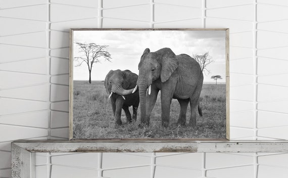 Elephant Poster Elephant Decor Animal Print Africa Print Black And White Photography Prints Printable Wall Art Large Wall Art Prints Elephant Poster Elephant Decor Animal Print Africa Print Black And White Photography Prints Printable Wall Art Large Wall Art Prints