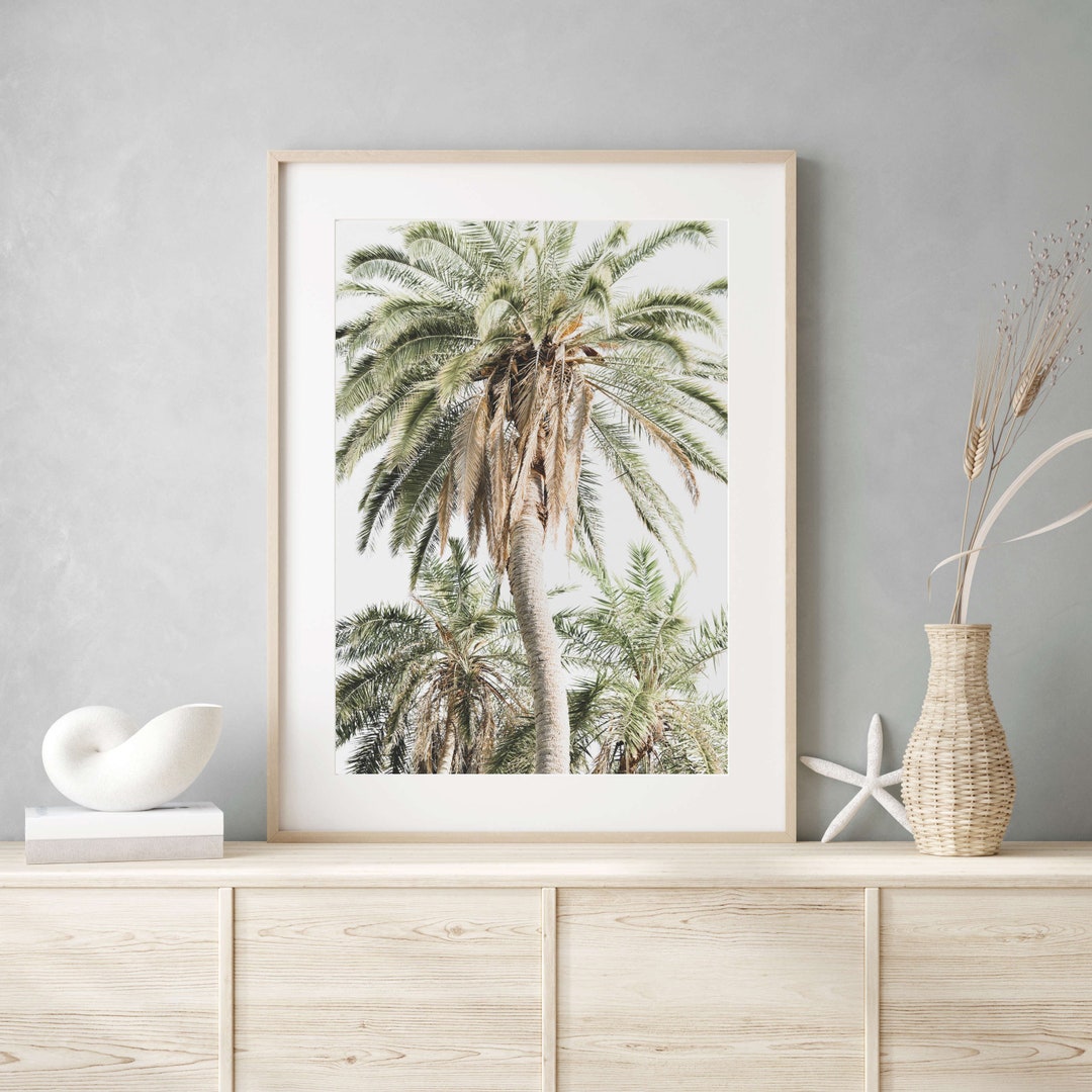 Palm Tree Print, Coastal Wall Art, Palm Photography Prints, Extra Large ...