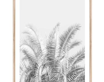 Palm Tree Print, Extra Large Wall Art, Palm Photography Prints, Black & White Art, Coastal Wall Art, Framed Palm Art, FRAMED Art Print