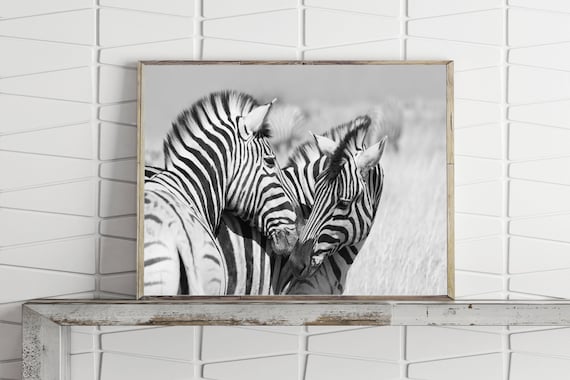 Zebra Print Zebra Printable Wall Art Animal Print Black And White Nature Photography Prints Downloadable Prints Large Wall Art Prints Zebra Print Zebra Printable Wall Art Animal Print Black And White Nature Photography Prints Downloadable Prints Large Wall Art Prints