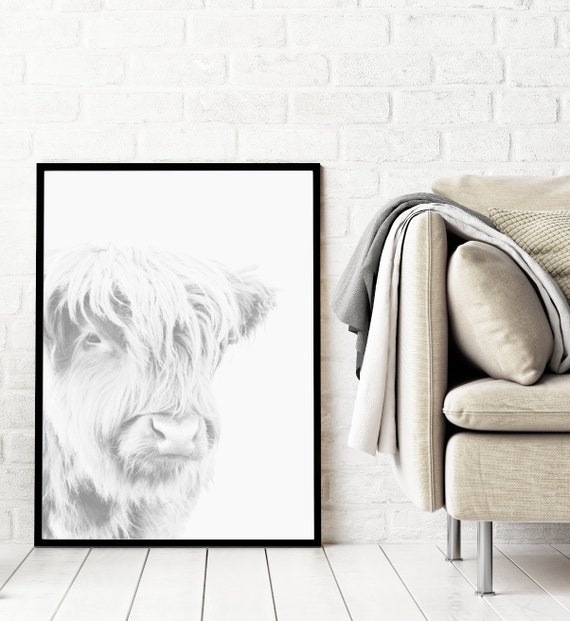 Highland Cow Print Animal Print Photography Prints Downloadable Prints Animal Printable Wall Art Large Wall Art Prints Digital Download Highland Cow Print Animal Print Photography Prints Downloadable Prints Animal Printable Wall Art Large Wall Art Prints Digital Download