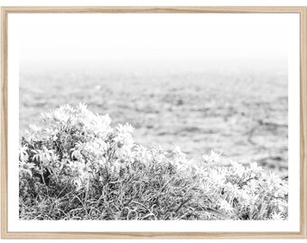 Coastal Wall Art, Extra Large Wall Art, Coastal Photography Prints, Black and White Prints, Seascape Print, Ocean Wall Art, Unframed Print