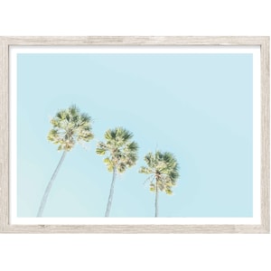 Palm Tree Print, Palm Photography Prints, Extra Large Wall Art, Coastal Wall Art, Palm Wall Art, Palm Prints, Palm Decor