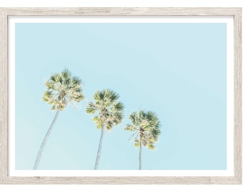 Palm Tree Print, Palm Photography Prints, Extra Large Wall Art, Coastal Wall Art, Palm Wall Art, Palm Prints, Palm Decor