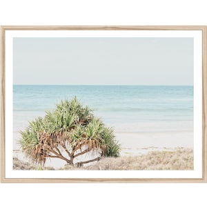 May include: A framed print featuring a coastal scene. The image showcases a lush green tree with spiky leaves on a sandy beach, with the ocean and sky in the background. The water is a light blue, and the sky is a pale blue.