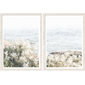 Coastal Wall Art, Set of 2 Prints, Landscape Photography Prints, Large Wall Art Prints, Australia Nature Art, Flannel Flowers Prints